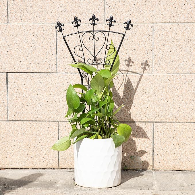 Heavy Duty Trellis for Potted Plants, 3-Pack, 24x12 Inches Elegant Metal Climbing Support for Monstera and Small Houseplants, Perfect Indoor & Outdoor Decoration for Home Garden and Balcony