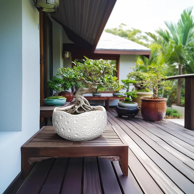 Thirtypot 10 Inch Plant Pot - Ceramic Planter for Indoor Outdoor, Round Bonsai Pots, Decorative Flower Pots with Drainage Hole, Modern Unique Planters, House Decor, Home Gifts, White