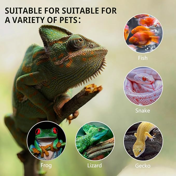 waazoorep 11 Gallon Tall Reptile Glass Tank 12"x12"x18" with Drainage Hole - Pre-Assembled Vertical Reptile Cage Enclosure for Arboreal Geckos,Chameleon,Lizard,Tree Frog and Snake