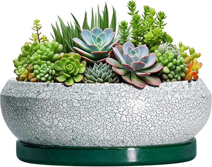 EPFamily Succulent Planters 10 Inch - Ceramic Bonsai Pots with Drainage Hole and Saucer, Large Succulent Pots Indoor, Shallow Planter, Round Bowl Planter Outdoor, Patio Decor, Plant Lover Gift, Green