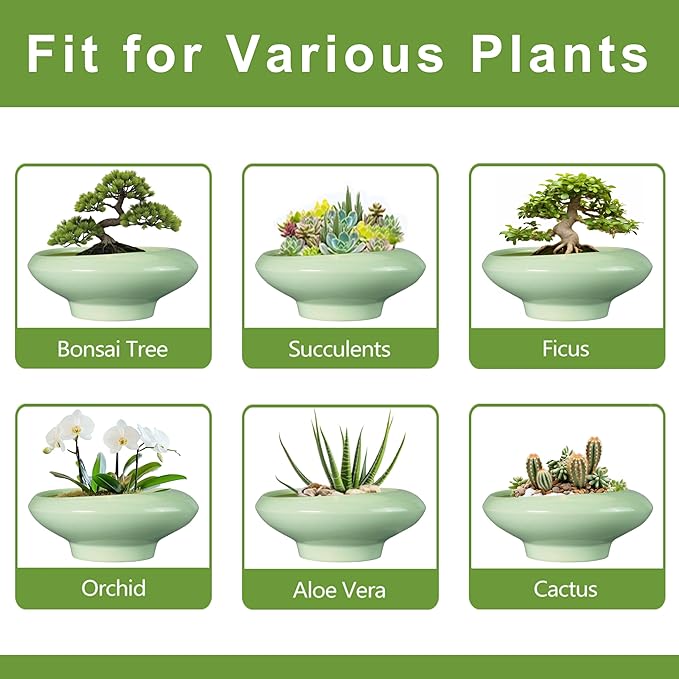 Teagas Ceramic Bonsai Pots - Large Succulent Planter 13 Inch Plant Pot Indoor Succulent Pot with Drainage Hole Outdoor Planter Bonsai Tree Pot for House Home Garden Office Decor Green