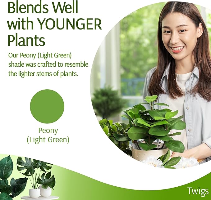 Twigs GA - Plant Support Stakes for Indoor & Outdoor Use, Durable Trellis Alternative for Climbing & Potted Plants, Houseplant Stem Holder Structures - Peony (Light Green), 10 Pack, 22" L, Original