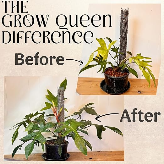 Grow Queen The All-in-One Complete Organic Plant Food, Indoor Plant Food for Houseplants, Organic Fertilizer for Vegetable Gardens, 3lb =75 Formulated Servings Feeds 150 gal Instantly and Slow Release