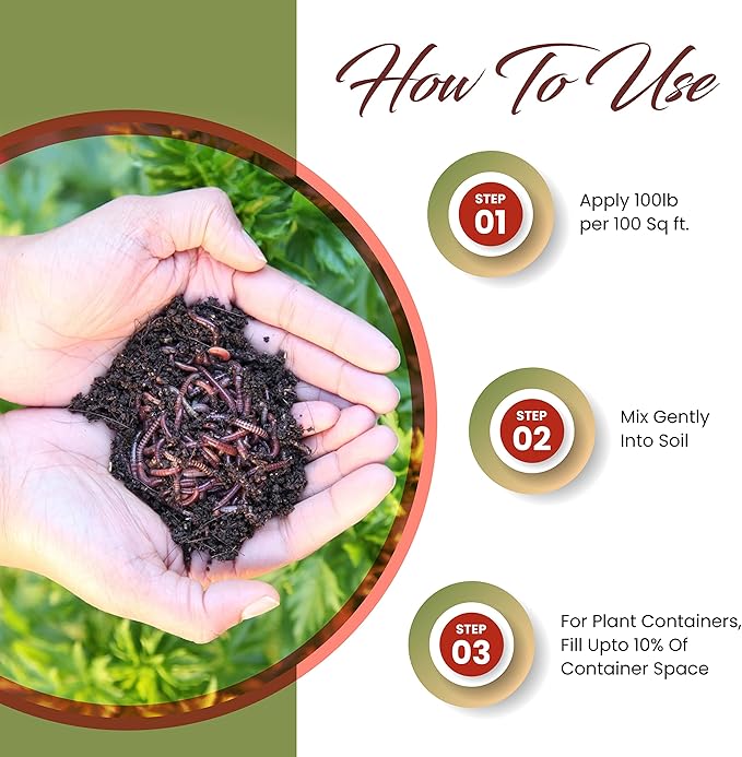 Perlite Bliss + Char Bliss + Worm Bliss - Organic Perlite for Plants - Worm Castings Garden Fertilizer - Biochar Horticultural Charcoal - 100% Organic Soil Amendments - Garden Soil & Potting Soil Mix