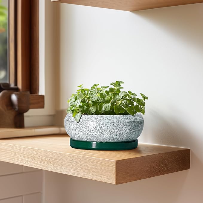 EPFamily Succulent Pots - 6 Inch Ceramic Pots for Succulent Indoor Outdoor, Small Plant Pot with Drainage Hole and Saucer, Bonsai Pot, Modern Round Planter, Window Decor, Housewarming Gifts, Green