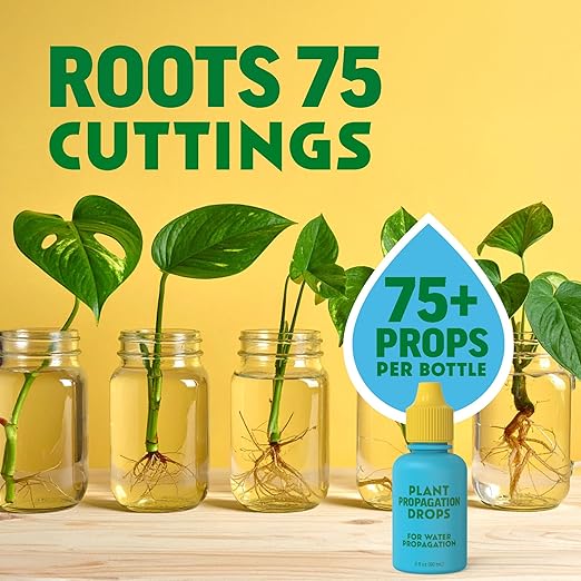 Rooting Drops for Plant Propagation | Promotes Faster, Stronger Root Growth | Propagation Drops for Water, Soil, Moss, & More! Supports Plant Health During Repotting | for All Your Props & Cuttings