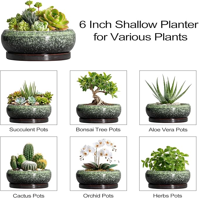 EPFamily Succulent Pots 6 Inch - Ceramic Bonsai Pots with Drainage Hole and Saucer, Succulent Planters for Indoor Outdoor, Small Shallow Planter, Round Cactus Pot, Room Decor, Plant Lover Gift, Green