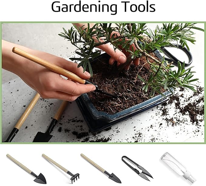 Sproutix Bonsai Garden Starter Kit, 4 Seeds Growing into Sakura, Ginkgo, Black Pine, Red Flame, Including Complete Gardening Tools & A Wooden Box with Cover, Christmas Gifts for Men Women Beginners