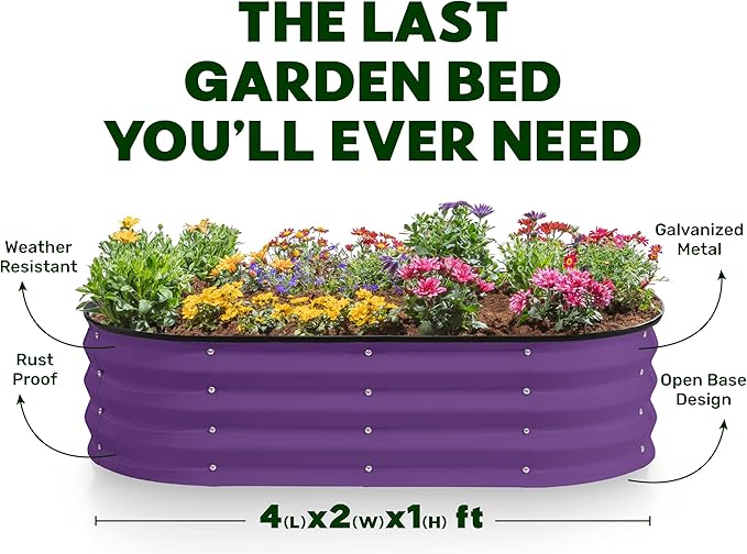 Galvanized Raised Garden Beds Outdoor // 4×2×1 ft (2-Pack) Planter Raised Beds for Gardening, Vegetables, Flowers (Purple) // Large Metal Garden Box