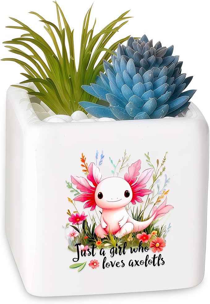 BJDAMAI Axolotl Succulent Planter Flower Plant Pot Small, Gifts for Women Teens Girls Kids, Axolotl Lovers Themed Stuff Accessories Things Decor Merch, Home Office Table Desk Decoration!