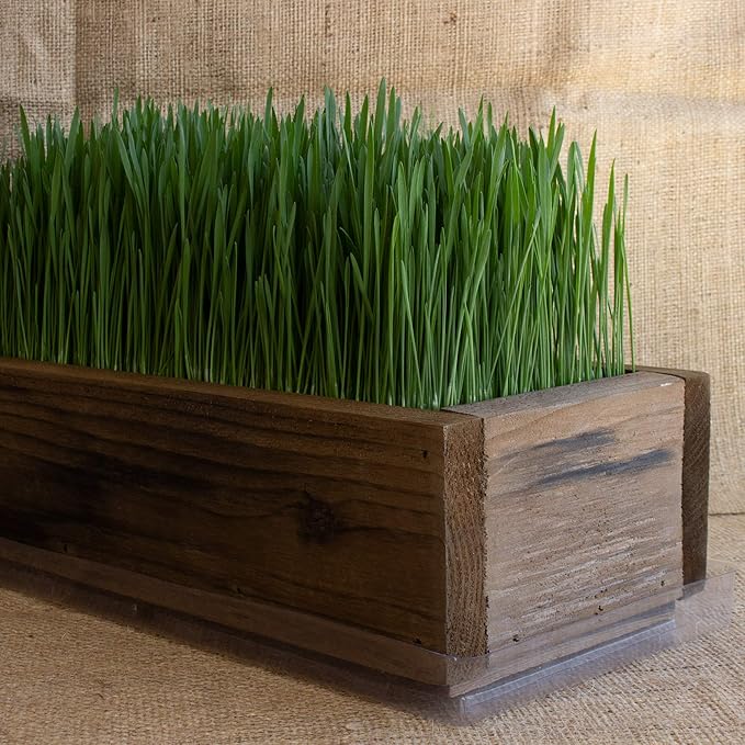 Handy Pantry Reclaimed Barnwood Style Planter Box - Rich Brown - Rustic Look - Flower, Herb & House Plant Garden Barn Wood Windowsill Planter with Drip Tray