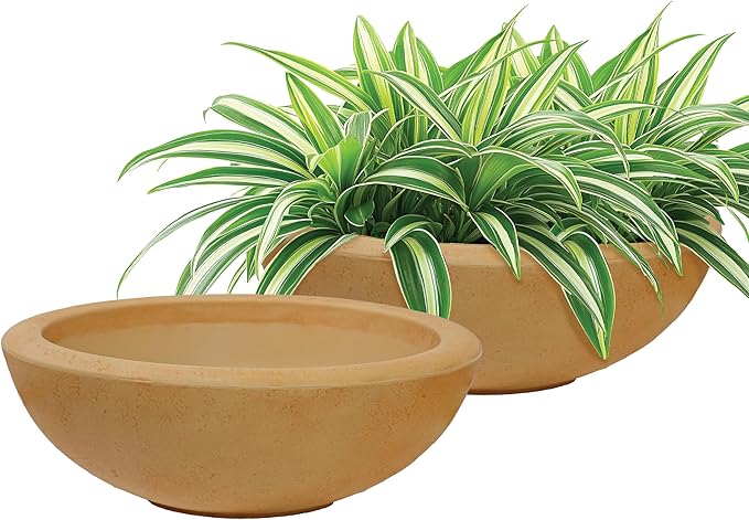 Sunnydaze Percival 20.75" Shallow Outdoor Planter Bowl for Flowers and Succulents - Polyresin Double-Walled Design - Sand - Set of 2
