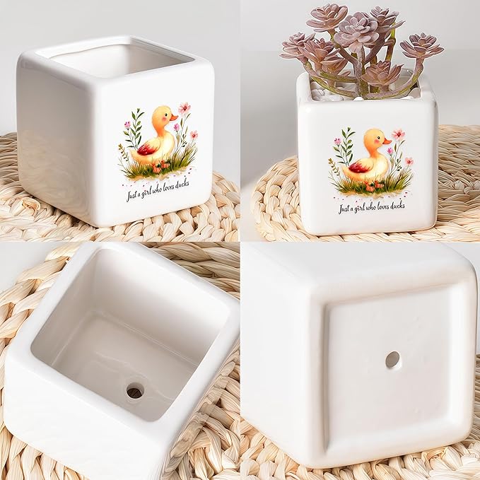 BJDAMAI Duck Succulent Planter Flower Plant Pot Small, Gifts for Women Teens Girls Kids, Duck Lovers Themed Stuff Accessories Things Decor Merch, Home Office Table Desk Decoration!