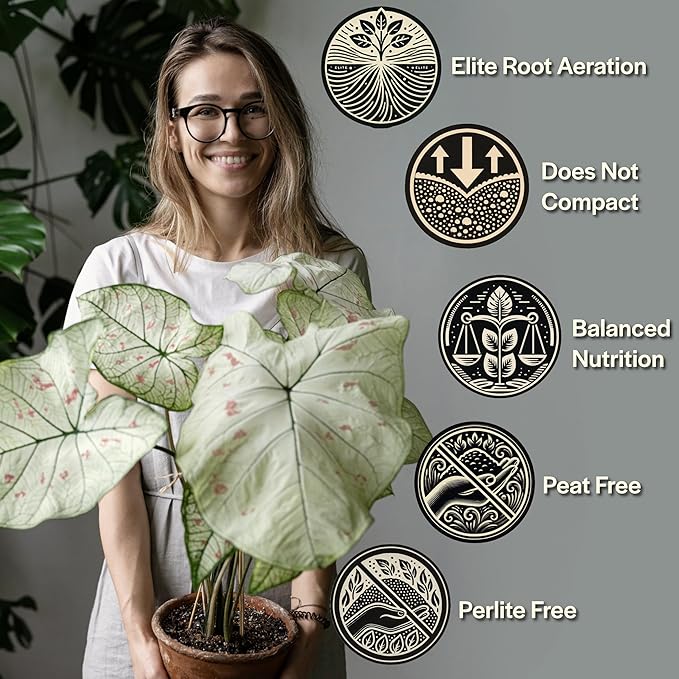 Grow Queen Craft Aroid Potting Mix- Elite Alocasia, Philodendron, Monstera Soil Mix, Chunky, Well Draining Potting Soil for Indoor Plants, All Tropical Plants & Houseplants, Peat Free 12QT