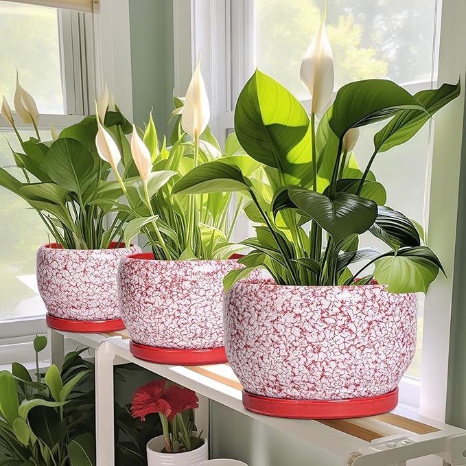 SQOWL 6 Inch Plant Pot - Ceramic Planter for Indoor Outdoor, Round Decorative Plant Pot with Drainage Hole and Saucer, Small Flower Planter, Home Balcony Decor, Gifts for Women Men, Red and White