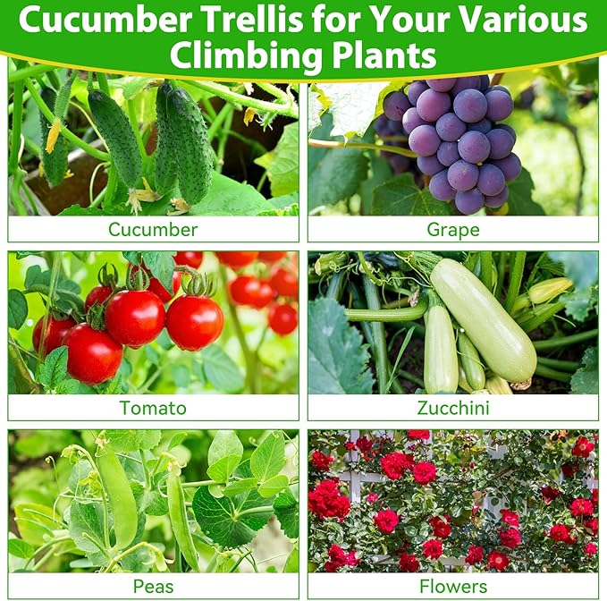 Cucumber Trellis for Raised Bed, 50''x48'' U-Shape Garden Trellis for Climbing Plants Outdoor, Metal Arch Plant Support, Vegetables Trellis for Squash Grape Pea Bean Vines Flower