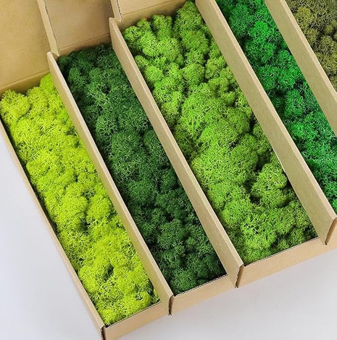 prefleur Preserved Reindeer Moss Natural Green DIY Kit Gardenning Art Wall Decor Florist Decor Easter Table Decor Wedding