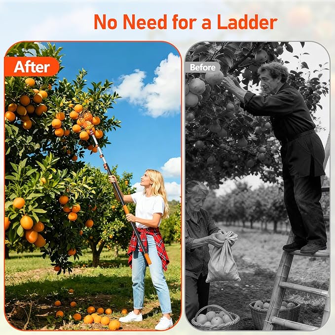 SPECILITE Fruit Picker, 5-20FT Adjustable Telescoping Pole with Basket, Aluminum Apple Picker Tool, Lightweight for Harvesting Orange, Mango, Avocado, Pear, Lemon, Garden Tree Fruit Catcher