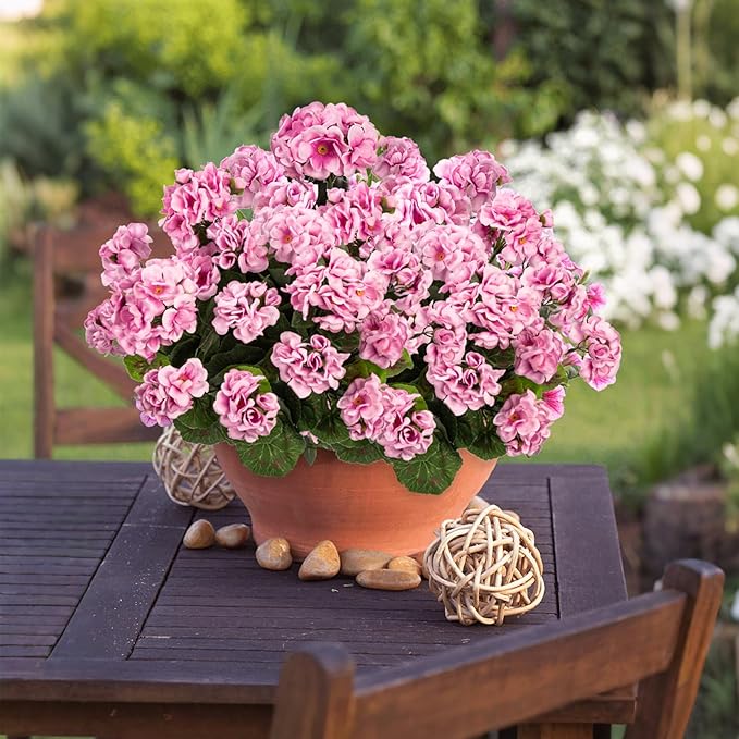 Uqueeten Plastic Flowers for Outdoors Home Decor Fake Plants Artificial Flowers Artificial Geraniums Outdoor Fake Flowers Silk Bouquet, Fall Decor for Interior Porch Garden Decor14.4 (Pink) 8PCS