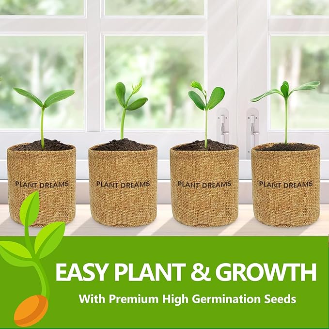 Bonsai Starter Kit with Seeds, Tools & Planters, Live Plants Indoor, Gardening Gifts for Women Men Mom Father Plant Lover