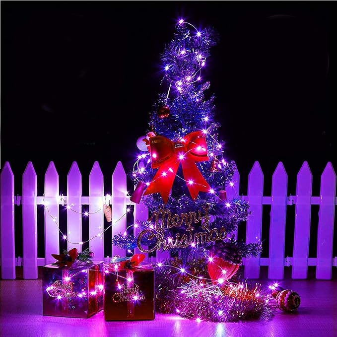 RUICHEN Silver Wire 33 Ft 100 LED USB Fairy String Lights with On/Off Switch (Purple)