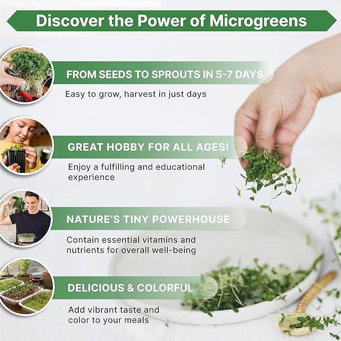 Organo Republic Broccoli Sprouting & Microgreens Seeds - Non-GMO, Heirloom Sprout Seeds Kit, 1lb Resealable Bag for & Growing Microgreens in Soil, Coconut Coir, Aerogarden & Hydroponic