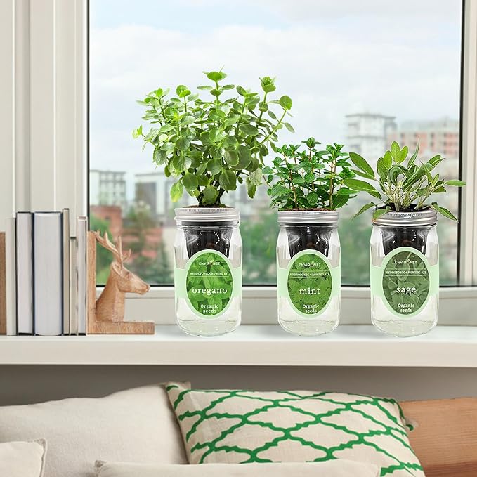 Environet Hydroponic Herb Growing Kit Set, Self-Watering Mason Jar Herb Garden Starter Kit Indoor, Windowsill Herbs Garden. Grow Your Own Herbs from Organic Seeds (Mint, Sage, Oregano)
