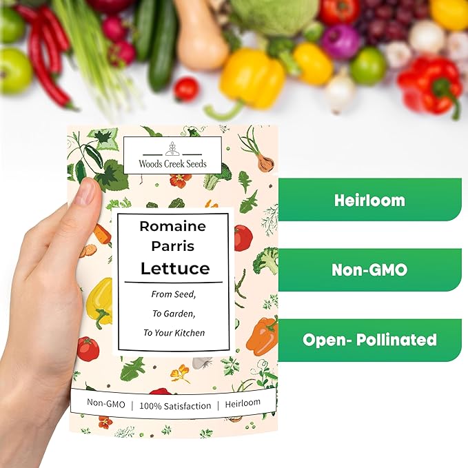 Romaine Parris White Cos Heirloom Lettuce Seeds for Planting - Over 2,700 Non-GMO Seed Pack - Beginner-Friendly Green Leaf Lettuce Seed | Woods Creek Seeds