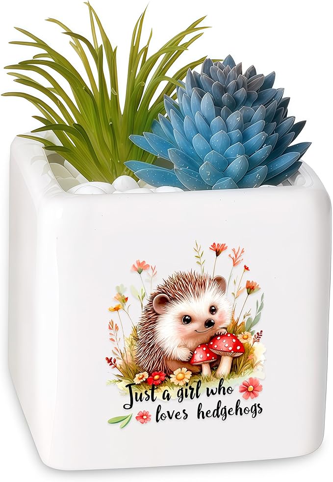BJDAMAI Hedgehog Succulent Planter Flower Plant Pot Small, Gifts for Women Teens Girls Kids, Hedgehog Lovers Themed Stuff Accessories Things Decor Merch, Home Office Table Desk Decoration!