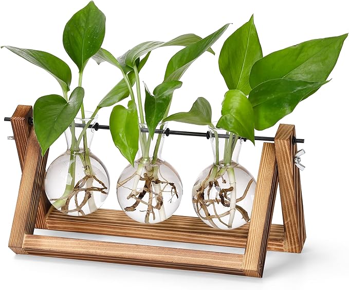 YIBOT Plants Propagation Stations,Desk Plant Terrarium with Retro Wooden Stand,Plant Lover Gifts for Women for Hydroponics Plants Home Garden Wedding Decor(3 Bulb Vase)