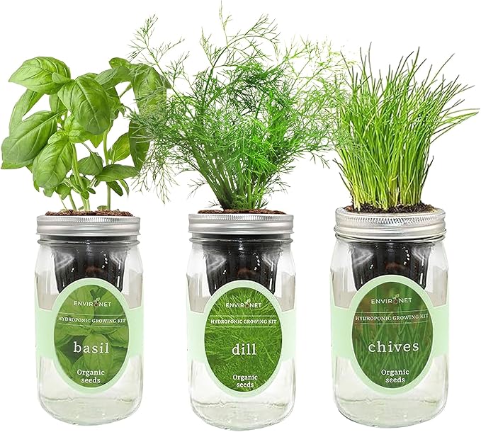 Environet Hydroponic Herb Growing Kit Set, Self-Watering Mason Jar Herb Garden Starter Kit Indoor, Windowsill Herbs Garden, Grow Your Own Herbs from Organic Seeds (Basil, Dill, Chives)
