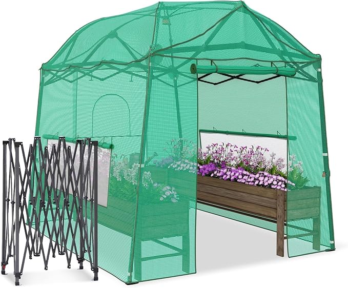 8.5 x 7 x 7 FT Walk-in Greenhouse, Portable Pop-up Greenhouse for Indoor Outdoor, Plant Garden Green House with Zippered Doors, Screen Windows, Heavy Duty Frame and Durable PE Cover