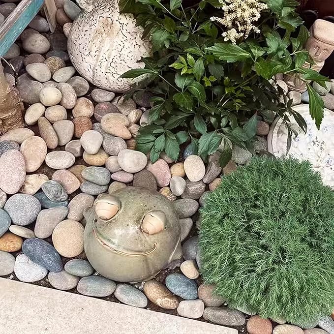 FAHAXIKI Natural River Rocks-20 lbs of Pebbles and River Stones,2-3 Inch Plant Rocks for Landscaping,Garden Paving,Crafting,Walkways,and Outdoor Decorative Stone,Mexican Beach River Rocks