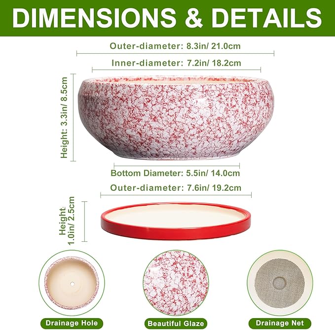 EPFamily Succulent Pots - 8 Inch Bonsai Pots for Indoor Outdoor, Shallow Ceramic Planter with Drainage Hole and Saucer, Round Flower Succulent Planters, Room Decor, Gifts for Plant Lovers, Red