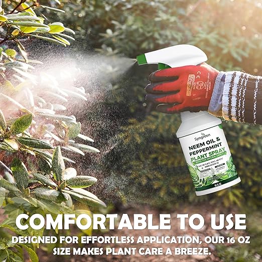 Syngreen Neem Oil Spray for Plants with Peppermint – Gentle Leaf Maintenance for Indoor and Outdoor Greenery, 16oz