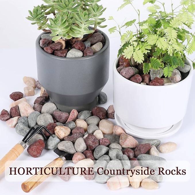 Ausluru 11lbs Natural River Rocks, Polished Pebbles for Plants Garden, 1-2 inch Decorative Countryside Stones, Ideal for Fish Tank, Vases, Crafting, Garden Landscaping Rocks,Countryside