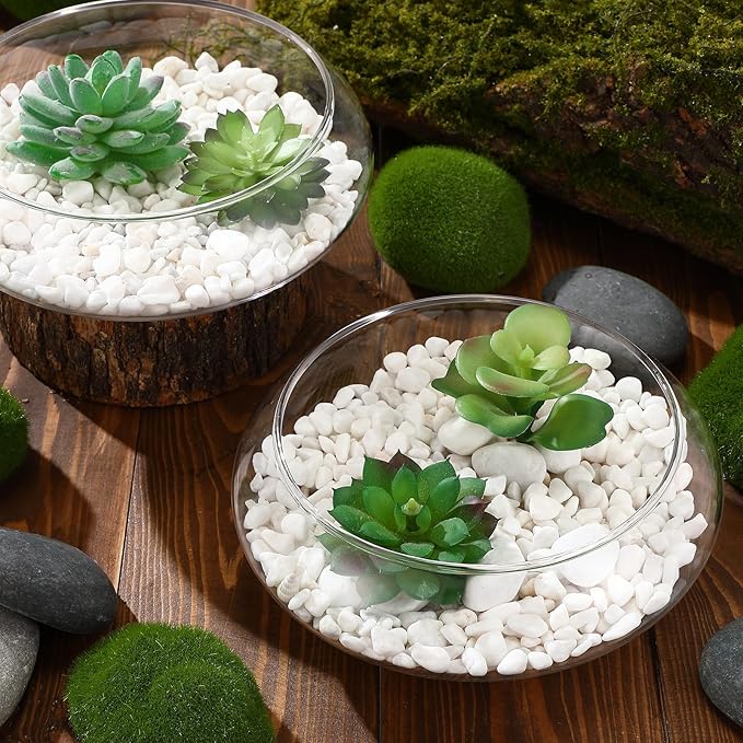 Baderke 3 Pcs Hydroponic Planter Lotus Flower Pot Planter Lotus Bowl Clear Glass Fish Bowl Vase for Planting Indoor Home Decor Water Lily Narcissus Planting Water Lily (9.84in)