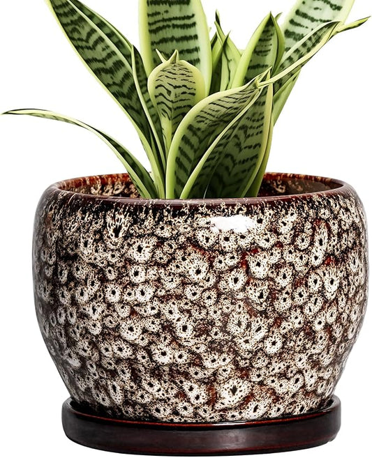SQOWL Ceramic Plant Pots - 6 Inch Ceramic Planter for Indoor Outdoor, Small Flower Pots with Drainage Hole and Saucer, Decorative Round Planter, Home Office Decor, Plant Lover Gifts, White