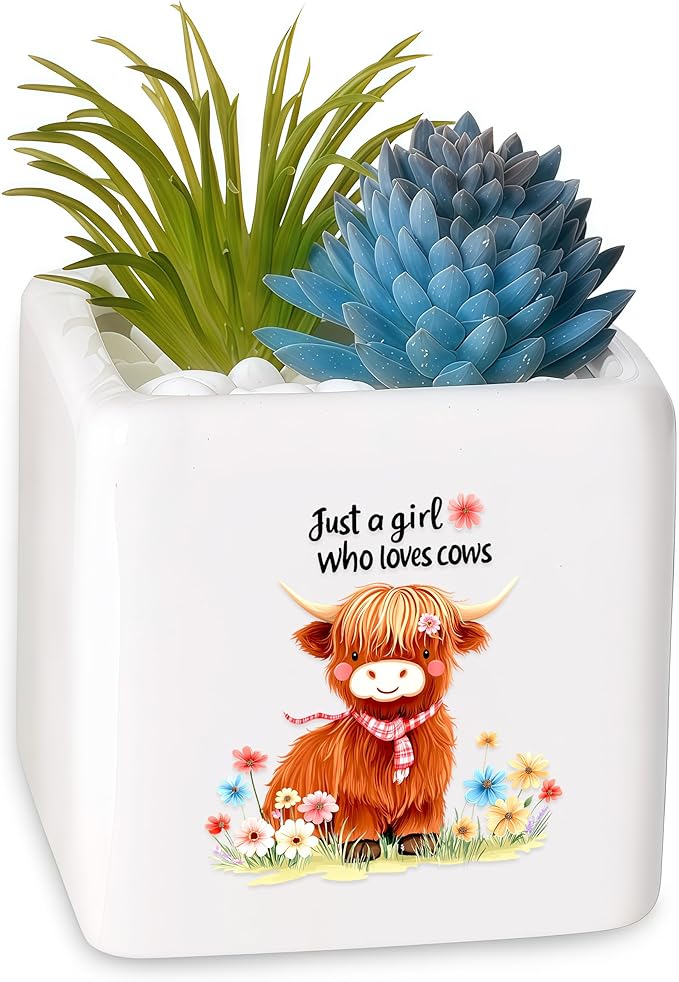 BJDAMAI Highland Cow Succulent Planter Flower Plant Pot Small, Gifts for Women Teens Girls Kids, Cow Lovers Themed Stuff Accessories Things Decor Merch, Home Office Table Desk Decoration!