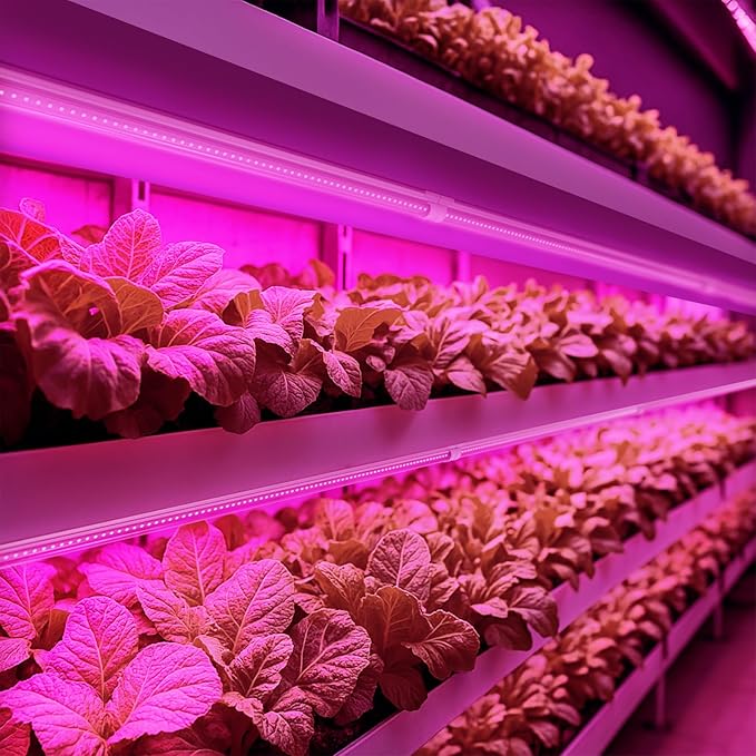 Barrina LED Grow Light 4FT, 168W(4 x 42W), Full Spectrum Plant Light, V-Shape with Reflector, Grow Lamp Strip, Plant Lights for Indoor Plants, 4-Pack