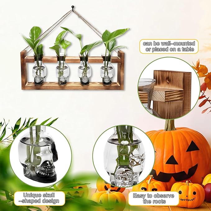 CYZglass Plant Propagation Stations Halloween Skull Plant Terrarium Kit Glass Vases Gift for Father Air Planter Home Office Decor