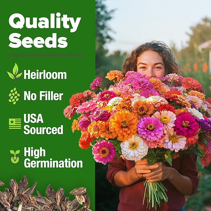HOME GROWN Zinnia Seeds for 2026 - California Giant Mix - 7,300+ (2 oz) Plant Wildflower Blooms Bulk Seeds for Planting Flowers Outside - Pollinator Gardens (Zinnia elegans)