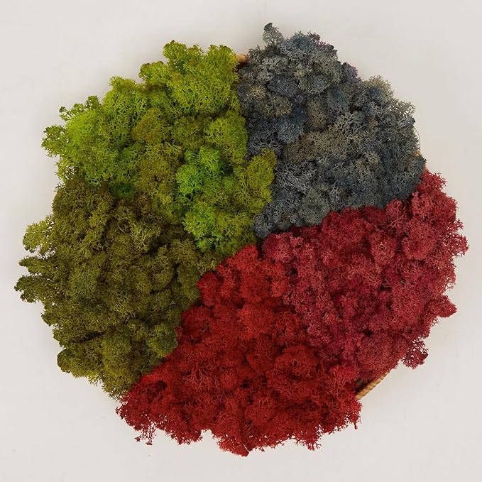 prefleur Preserved Reindeer Moss Natural Green DIY Kit Gardenning Art Wall Decor Florist Decor Easter Table Decor Wedding