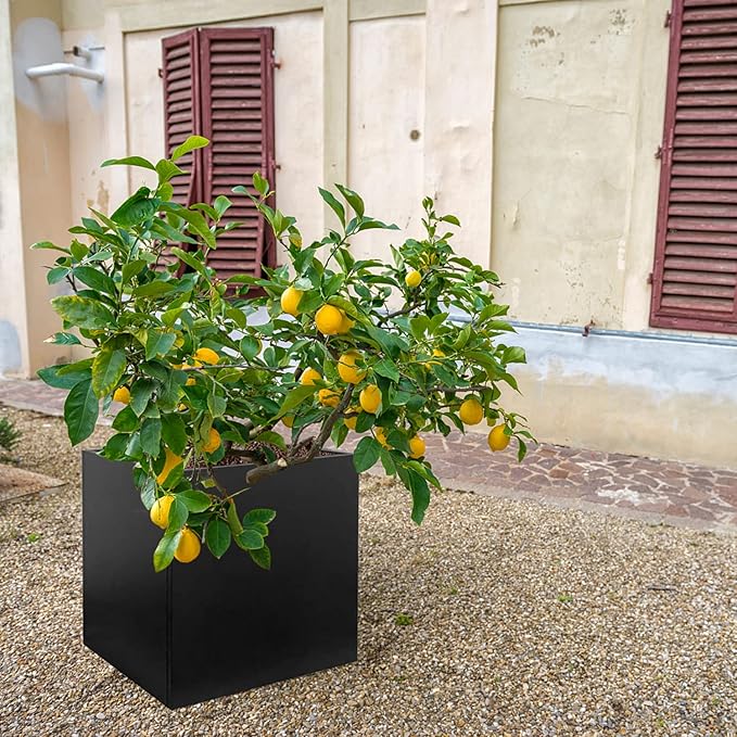 GZGNEEVL Galvanized Steel Black Planter Box Square 27.6 in Metal Large Planter Box Outdoor Indoor Huge Cube Heavy Duty Flower Pot Modern Commercial Residential for Patio, Yard, Garden