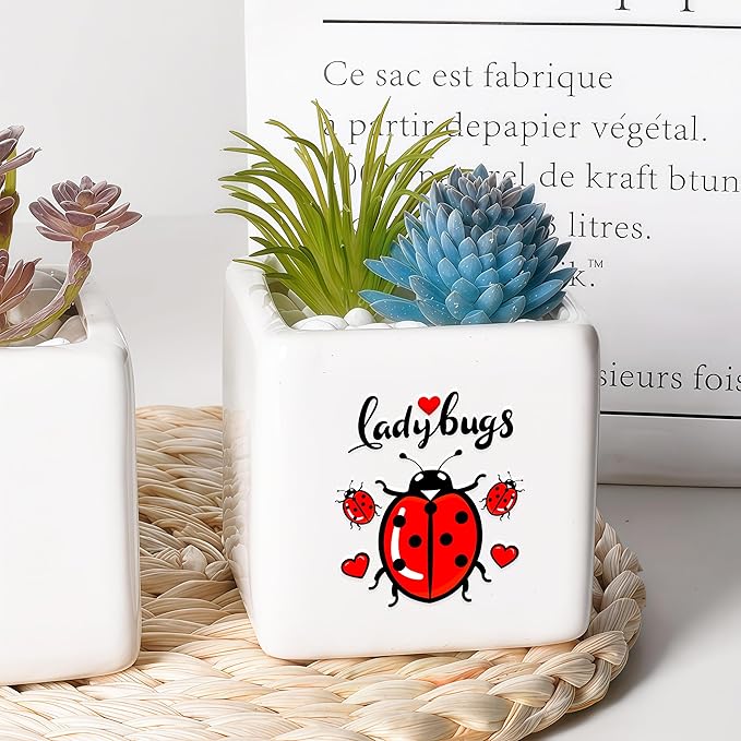 BJDAMAI Ladybugs Succulent Planter Flower Plant Pot Small, Gifts for Women Teens Girls Kids, Ladybugs Lovers Themed Stuff Accessories Things Decor Merch, Home Office Table Desk Decoration!