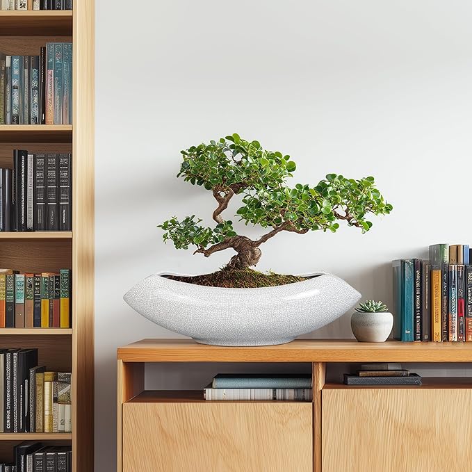 Teagas Ceramic Bonsai Tree Pot - 18 Inch Ceramic Pots for Plants, Large Succulent Planter with Drainage Hole for Indoor Outdoor, Unique Planters for Flower, Home Decor, Gardening Gifts, White-Black