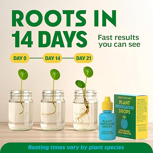 Rooting Drops for Plant Propagation | Promotes Faster, Stronger Root Growth | Propagation Drops for Water, Soil, Moss, & More! Supports Plant Health During Repotting | for All Your Props & Cuttings