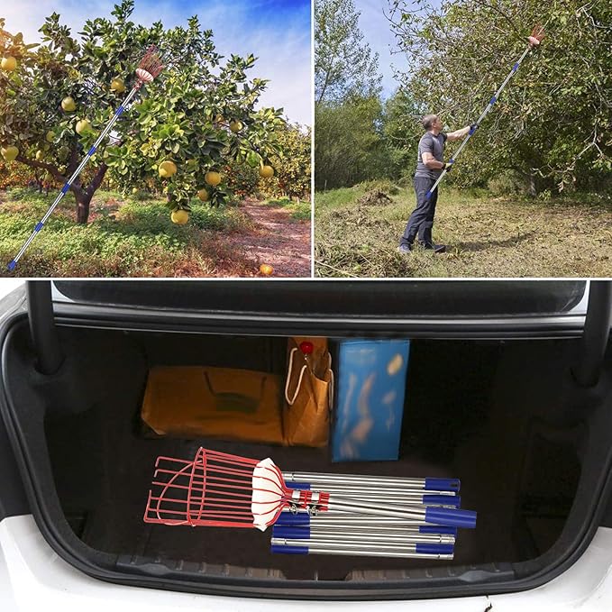 BsBsBest Fruit Picker Pole with Basket - 8 Foot Adjustable Height Fruit Picker Tool with Stainless Steel Fruit Picking Pole for Apple Cherry Berry Fit Orange Blueberry Mango Avocado Lemon Peach