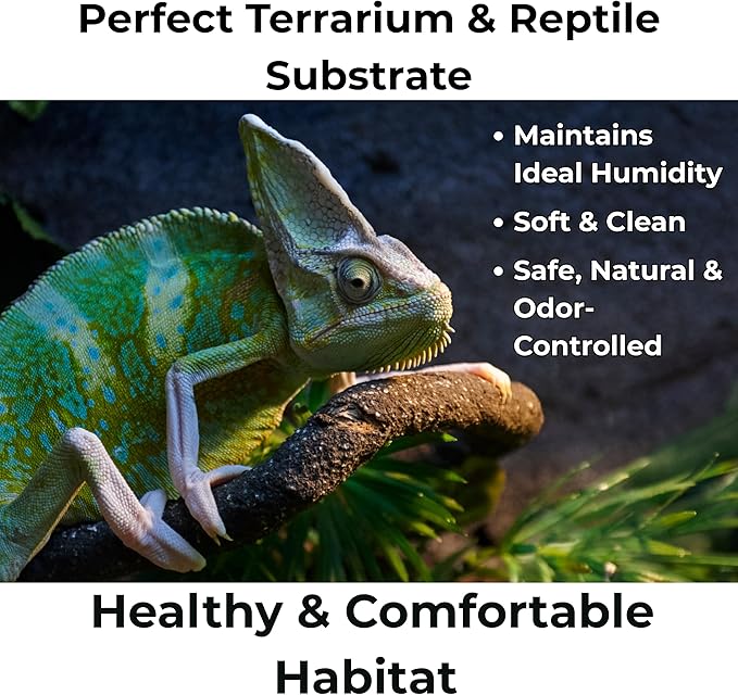 GARDENWISE Peat Moss for Plants – Organic Sphagnum Peat Moss for Orchids, Terrariums, Seed Starting, Reptiles & Potting Soil Mix (30 quarts)