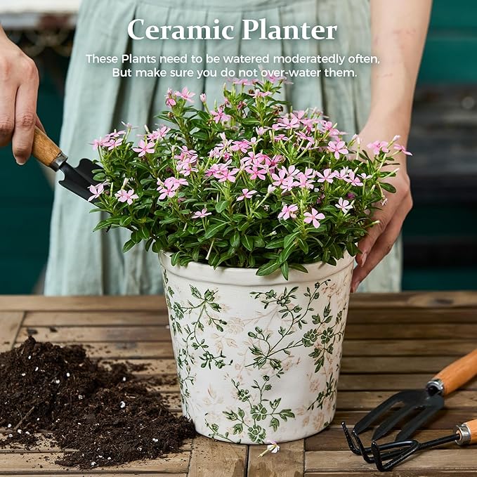 Teweiqi Ceramic Planter Without Drainage Hole, 6.7 Inch - Indoor/Outdoor Flower Pot for Orchids, Succulents, Green Floral Modern Farmhouse Design Plant Pot for Home,Office & Garden Décor, Ideal Gift